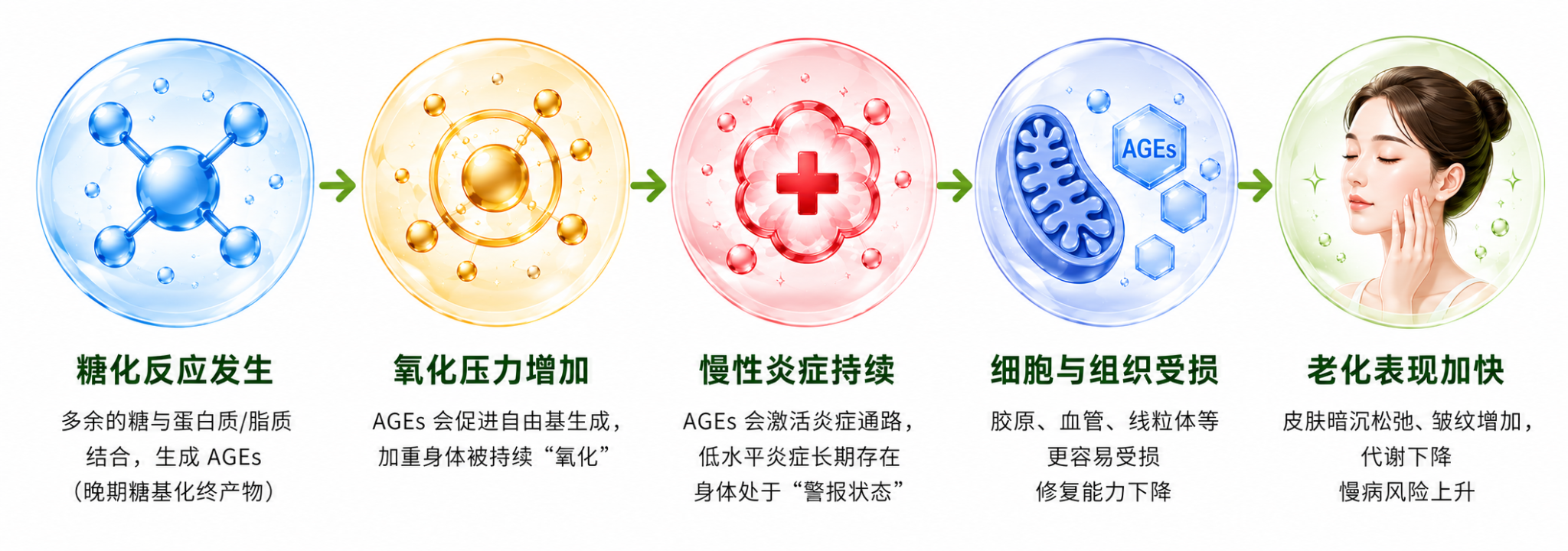 糖化反应引起氧化压力增加和慢性炎症，继而造成细胞与组织受损，最终加快皮肤与身体老化表现的五阶段示意图。